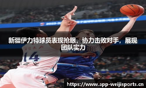 维基体育官方网站