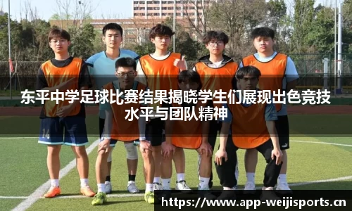 维基体育