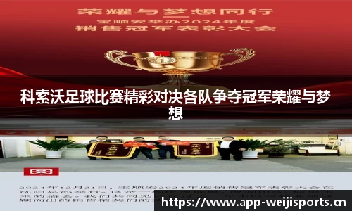 维基体育官网