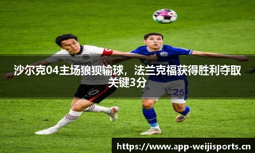 沙尔克04主场狼狈输球，法兰克福获得胜利夺取关键3分