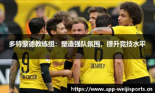 维基体育